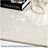 Foshan Xuanhang Building Materials Company Limited