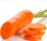 High Quality Carrots with Competitive Price