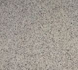 Ceara White Granite with Good Price