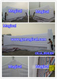 Outdoor Giant Customized Inflatable Air Wall (MIC-818)