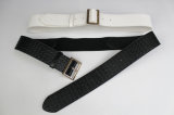 Ladies Fashion Elastic Belt Zeb611