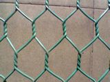 Galvanized Hexagonal Wire Mesh/Plastic Hexagonal Wire Mesh