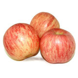 Top Quality Fresh FUJI Apples (2014)