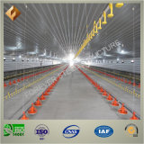 Light Steel Structure Poultry House