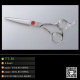 Japanese Stainless Steel Hairdressing Salon Scissors (TT-55)