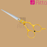 Hair Cutting Scissors, Hair Shear, Three Parts Hairdressing Scissors (RS7005)