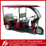 Yudi E-Vehicles 2015 New Electric Tricycle Battery Rickshaw Three Wheelers D99s