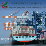 Efficient Shipping Agent From China to Paracas, Peru