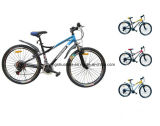 Mountain Bicycle of High Quality (MB1022)