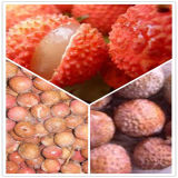 Candied Appetizing Frozen Lychee Whole Unpeeled for Snack