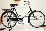 Popular Traditional Bicycle for Hot Sale (SH-TR109)