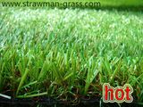 Artificial Lawn for Garden (SZGQDS20-C)