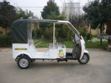 Diesel Passenger Tricycle (THCY-03)