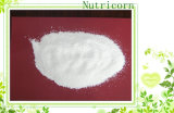 Dicalcium Phosphate DCP Chicken Feed