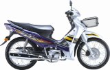 EC Motorcycle (HK110S-1A)