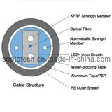 Duct Water-Blocking Optical Drop Cable Gjyxfha Gjyxfhs (GJYXFHA/GJYXFHS)