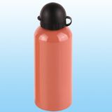 Sport Bottle ZJD14