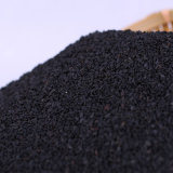 Black Sesame Seed for Wholesale