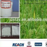 High Quality Potassium Sulfate Agriculture Fertilizer