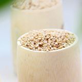 Organic Healthy White Sesame for Whole Sale