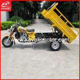 China Factory Sale New Arrival 3 Wheeler Scooter Motorcycle/ Tricycle for Sale in Guangzhou