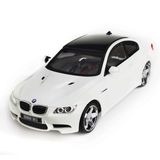 Famous Car Toy Brand Plastic RC Model