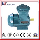 AC Asynchronous Electric Anti-Explosion Motor