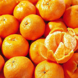 Fresh Fruit, Fresh Mandarin Orange, Fresh Ponkan