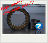 SKF FAG NSK Timken Cylindrical Roller Bearings Nj05