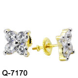 New Design 925 Silver Fashion Earrings Jewellery (Q-7170)