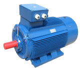 Low Voltage High Output Electric Motor