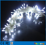 White Fairy LED Wedding Lights 100 LED 10m Decoration