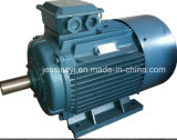 Y2 Series Electric Motor for Blower and Pump