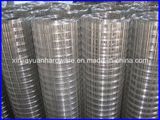 Galvanized Iron Welded Wire Mesh