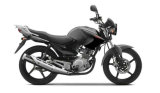 Free Shipping Yamah [Ybr125] 125cc Motorcycle