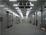 PU Commercial Cold Room for Food Storage