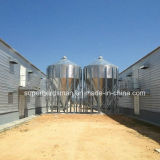 Top Quality Chicken House Construction with Steel Structure