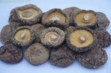 Dry Shiitake Mushroom Whole