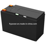 12V 9ah LiFePO4 Battery Pack (FlyPower model FLFP-1290E3)