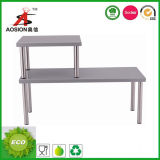 New Design Stainless Steel Storage Support (FH-KTF05)