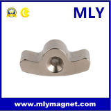 Neodymium Permanent Magnet Rare Earth Magnet (M042)