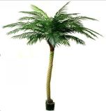 Artificial Tree-Arca Palm Tree (XJ-SSZ5524/8')
