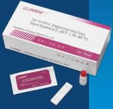 Typhoid Igg/Igm Test Cassette (WB/S/P)