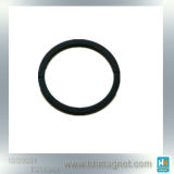Rare Earth Thin Ring Magnet