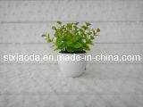 Artificial Plastic Grass Bonsai (XD13-22)