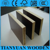 Phenolic Surface Film Plywood/Phenolic Resin Faced Plywood