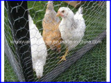 Hexagonal Livestock Wire Netting with Competitive Price