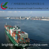 Efficient Sea Freight From China to Salaverry, Peru