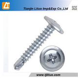 Galvanized Modiffied Truss Wafer Head Self-Drilling Screw