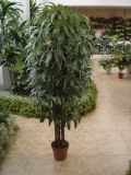 Artificial Plants and Flowers of Raphis Palm Gu-Bj-603-68-8